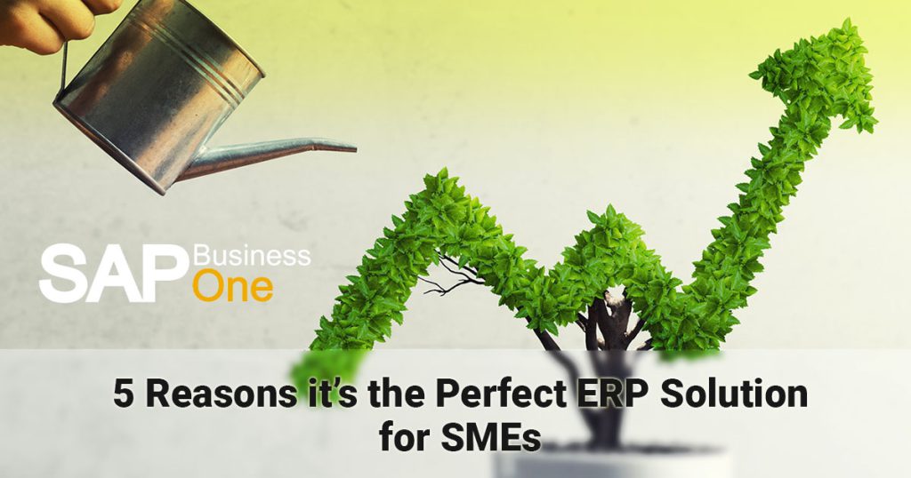 SAP Business One – 5 Reasons It’s The Perfect ERP Solution For SMEs ...