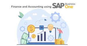 Finance and Accounting Using SAP Busniess One