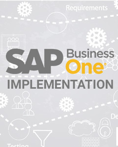 Accelon - SAP Business One Partner & Provider| ERP Solution for MSMEs