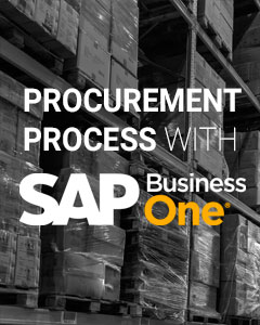 Mastering Procurement Process with SAP Business One