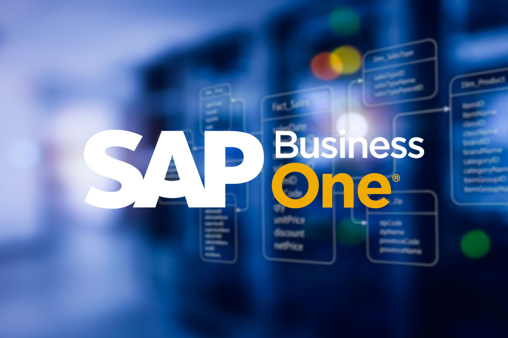 Understanding SAP Business One Data Model