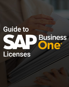 A Comprehensive Guide to SAP Business One Licenses