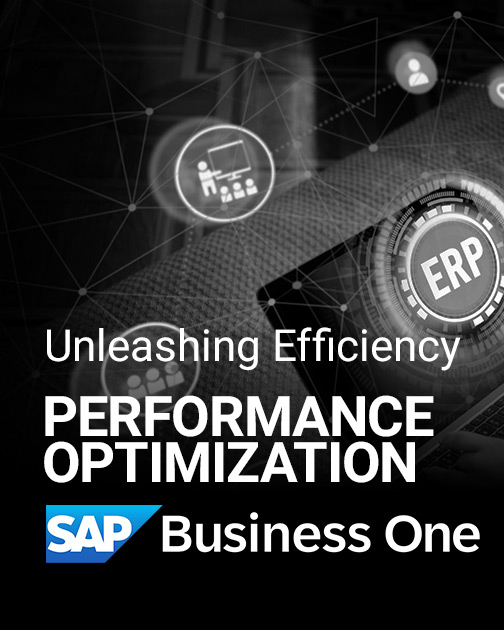 A Guide to Performance Optimization for SAP Business One