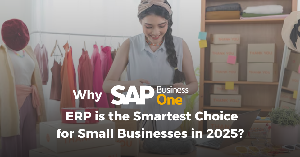 sap business one erp for small business